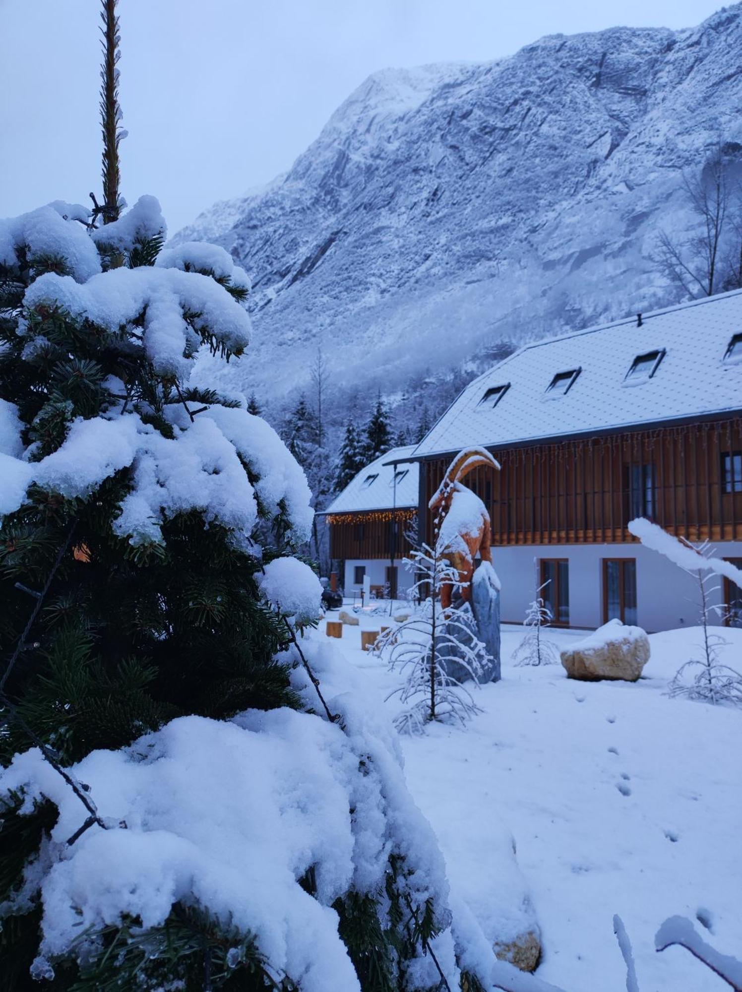 Residence Soca Soča Exterior foto